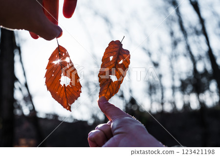 ,落葉臉 123421198