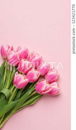 Pink tulips and pastel background Pink tulips and pastel background 123421770