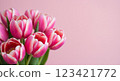 Pink tulips and pastel background 123421772