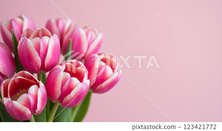 粉紅色的鬱金香和柔和的背景 123421772