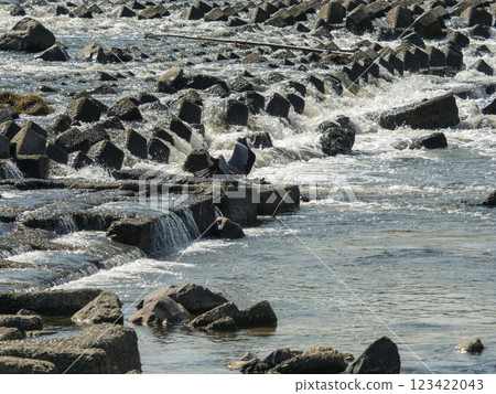 Gray heron at Kashiwara Weir, Yamato River Gray heron at Kashiwara Weir, Yamato River 123422043