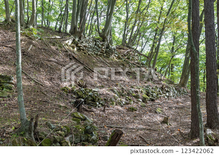 桐原城：第二城牆遺址周圍的石牆 123422062