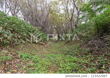 Kitakumai Castle: Moat and earthworks at the ruins of the main castle 123422067