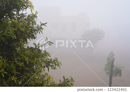 Smog and fog in the town. A house in thick smoke and fog. Part of a residential area with trees. No people or vehicles. Concept of air pollution. Horizontal image with copy space. 123422401