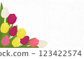 Colorful tulip illustration, white background, white space, AI-generated image (Adobe Firefly) 123422574
