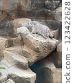 Manulneko 123422628