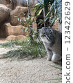 Manulneko 123422629