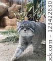 Manulneko 123422630