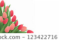Pink tulip illustration, white background, white space, AI-generated image (Adobe Firefly) 123422716