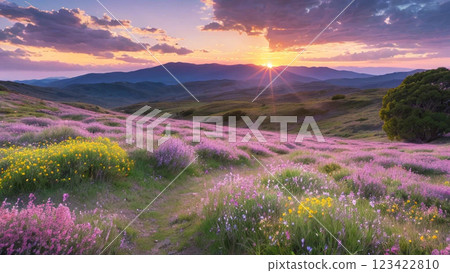 Dawn view from a lavender-filled hill 123422810
