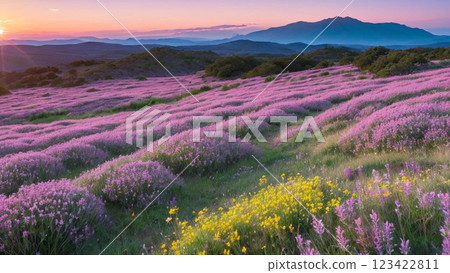 Kochia dyed in the morning glow 123422811