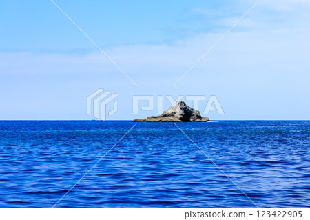 從廣島縣賀茂郡南伊豆町中木廣島濱渡輪出海的潛水員和浮潛者 123422905
