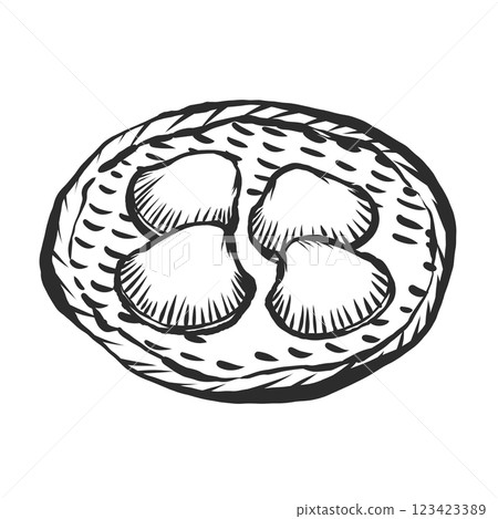 方舟貝殼手繪毛筆繪畫風格插畫 方舟貝殼手繪毛筆繪畫風格插畫 123423389