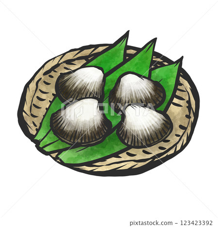 Hand-painted brush painting style illustration of ark shell Hand-painted brush painting style illustration of ark shell 123423392