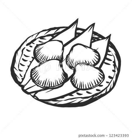 方舟貝殼手繪毛筆繪畫風格插畫 方舟貝殼手繪毛筆繪畫風格插畫 123423393