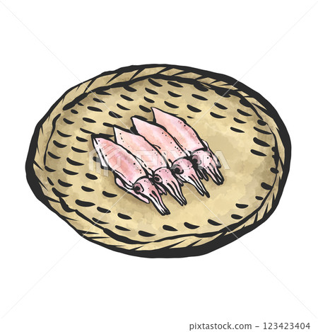 Firefly squid hand-drawn illustration 123423404