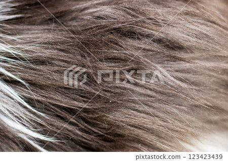 This image showcases a closeup view of an individual s hair texture, 123423439
