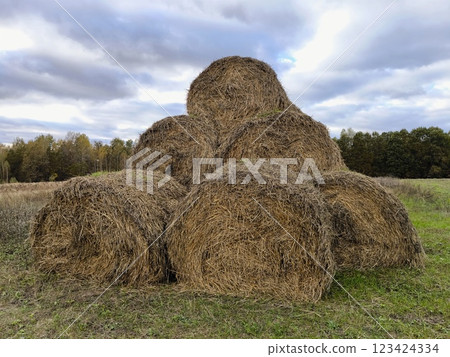 Beautiful haystacks on a field on a cloudy day. A serene rural scene, perfect for farming, harvesting, or rural-themed visual effects. 123424334
