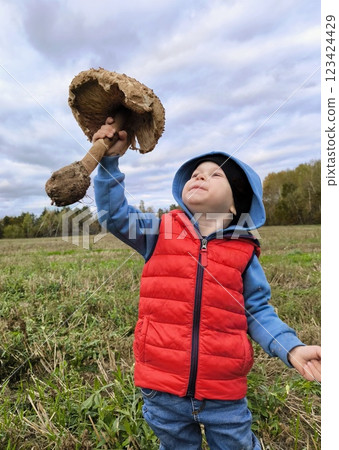 A cute child shows the camera a large edible mushroom umbrella that he found in the forest. Autumn mushroom harvest. A happy child is holding a large mushroom in his hands A cute child shows the camera a large edible mushroom umbrella that he found in the forest. Autumn mushroom harvest. A happy child is holding a large mushroom in his hands 123424429