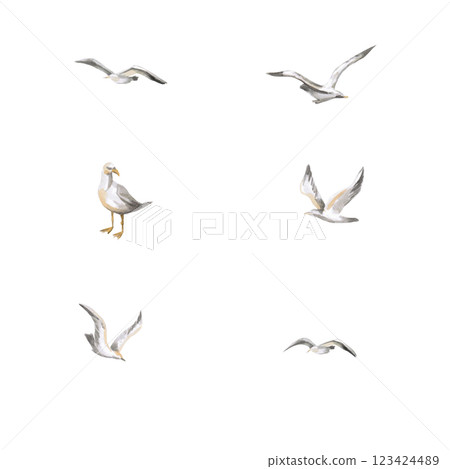 Seagulls set. Isolated watercolor illustration of birds for design of seaside cafes, printing on fabric, travel blogs, design of tourist brochures. Seagulls set. Isolated watercolor illustration of birds for design of seaside cafes, printing on fabric, travel blogs, design of tourist brochures. 123424489
