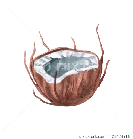 Half of coconut. Isolated watercolor illustration in realistic style for design of tourist brochures, cosmetics, travel blogs, printing on fabric. Half of coconut. Isolated watercolor illustration in realistic style for design of tourist brochures, cosmetics, travel blogs, printing on fabric. 123424516