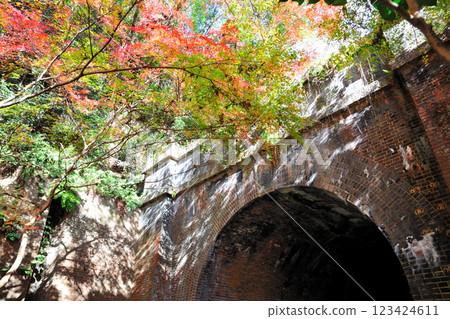 Autumn leaves of the Aiki tunnel group Autumn leaves of the Aiki tunnel group 123424611