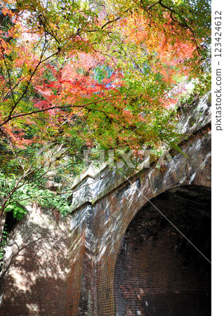 Autumn leaves of the Aiki tunnel group Autumn leaves of the Aiki tunnel group 123424612