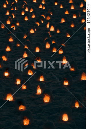 Yokote Snow Festival Yokote Snow Festival 123425044