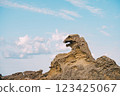 Godzilla Rock 123425067