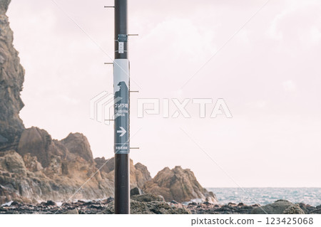 Electric pole installed on the coast Godzilla Rock Electric pole installed on the coast Godzilla Rock 123425068