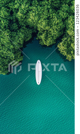 Aerial view of a white surfboard floating on calm turquoise water near lush green mangroves, creating a serene and inviting scene for water sports enthusiasts seeking tranquility and adventure 123426036