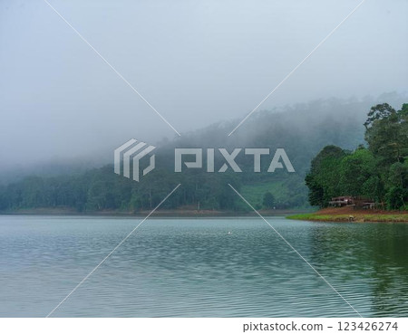 Misty lakeside Misty lakeside 123426274