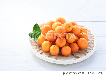 宮崎縣金橘（白底） 123426292