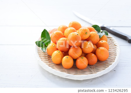 宮崎縣金橘（白底） 123426295