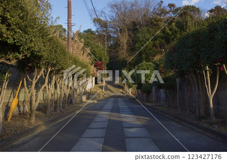 倉敷風光:冬季的鶴形山 倉敷風光:冬季的鶴形山 123427176