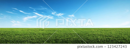 Panoramic view of green grass field under blue sky with cloudscape background, creating a serene and idyllic natural landscape perfect for sports and outdoor activities 123427243
