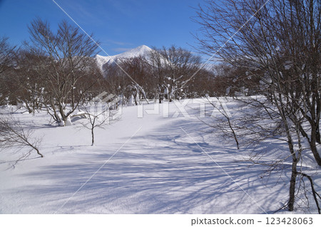 奈科馬山 123428063