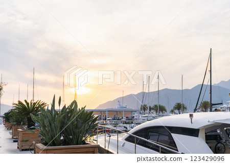 Luxury yachts moored to the pier in the marina 123429096