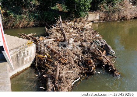 Mass of tangled dead drift wood  logs dried foliage waste garbage accumulate concrete  blocking bridge pillar protection barrier on river at springtime flood. Jam wooden logs water flow blockage 123429296