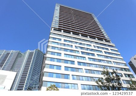 Shibuya cityscape 123429537