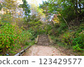 Stairs in the mountains in autumn 123429577
