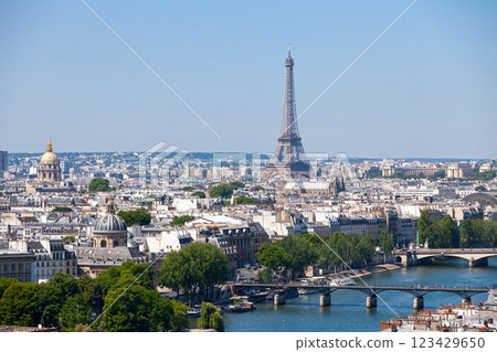 Aerial view of the Seine river in Paris 123429650
