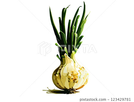 發芽洋蔥的逼真插圖（AI 生成的透明 PNG） 123429781