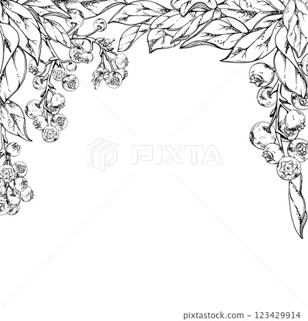 Blueberry blackberry cluster with plant leaves on branch, hand drawn in ink vector, ripe forest berry. Isolated square frame botanical illustration for restaurant, cafe menu, wedding, farmers market 123429914