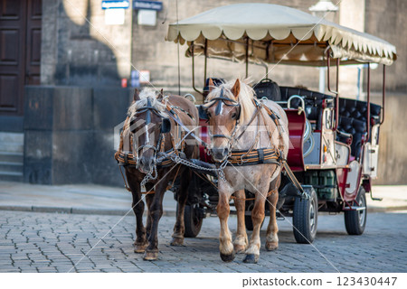 Horse drawn carriage, popular form of sightseeing for tourists visiting historic Old town district of Dresden, Saxony, Germany 123430447