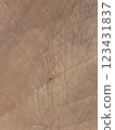 Palm red small dots skin 123431837