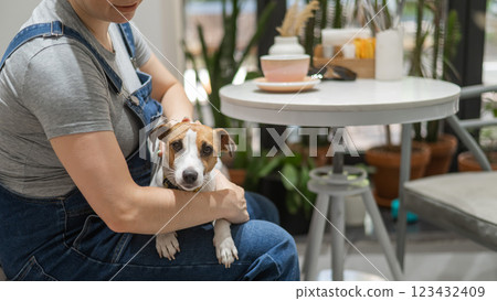 Jack Russell sits on the lap of the hostess in a cafe. Woman drinking coffee in a dog friendly cafe. Jack Russell sits on the lap of the hostess in a cafe. Woman drinking coffee in a dog friendly cafe. 123432409