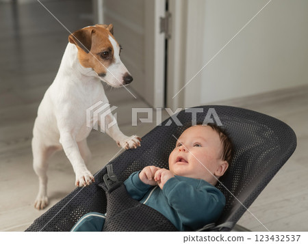 A dog rocks a cute three month old boy dressed in a blue onesie in a baby bouncer. A dog rocks a cute three month old boy dressed in a blue onesie in a baby bouncer. 123432537