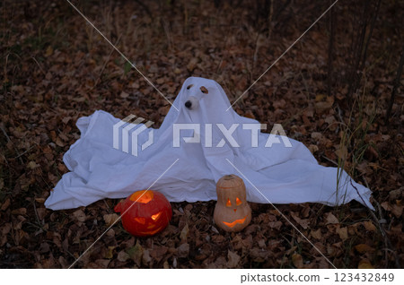 Jack Russell Terrier dog in a ghost costume for Halloween in the woods. Jack Russell Terrier dog in a ghost costume for Halloween in the woods. 123432849