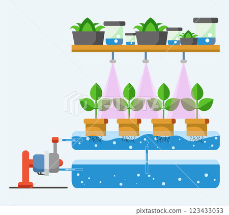 Schematic diagram of vertical farming hydroponics. Intermittent flooding system. Composition with plants, tubes, tub and pump. Vector illustration 123433053